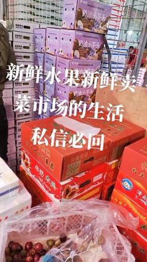 诚信经营优质水果与农作物种子，打造精品农业产业链