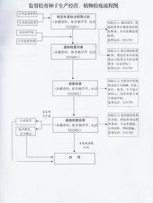 农作物种子生产经营监督检查 保障农业安全与市场秩序