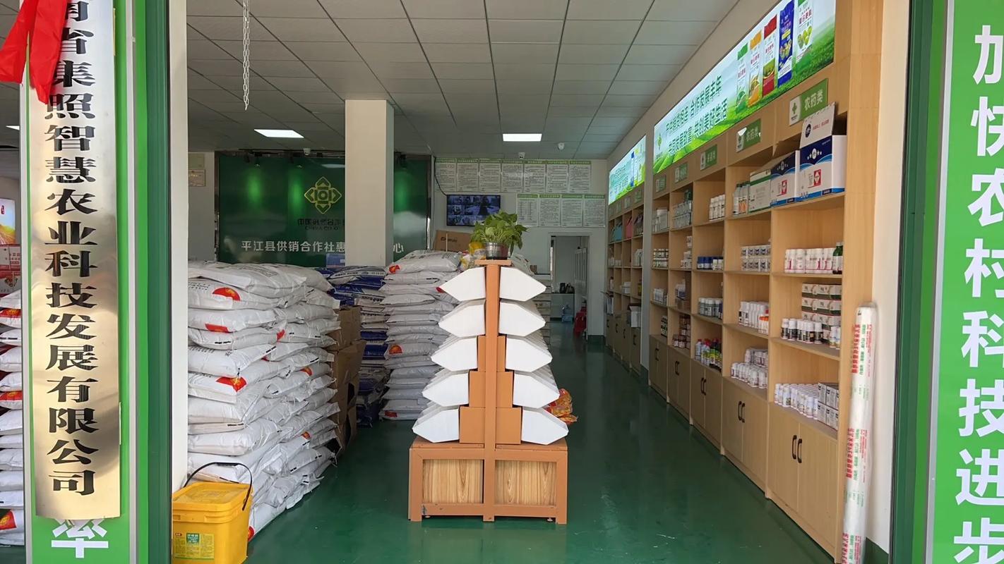 农资超市经营新策略 以农作物种子为核心，创新驱动发展